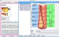 Thumbnail for version as of 13:08, 26 October 2013