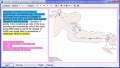 Thumbnail for version as of 02:22, 25 April 2009